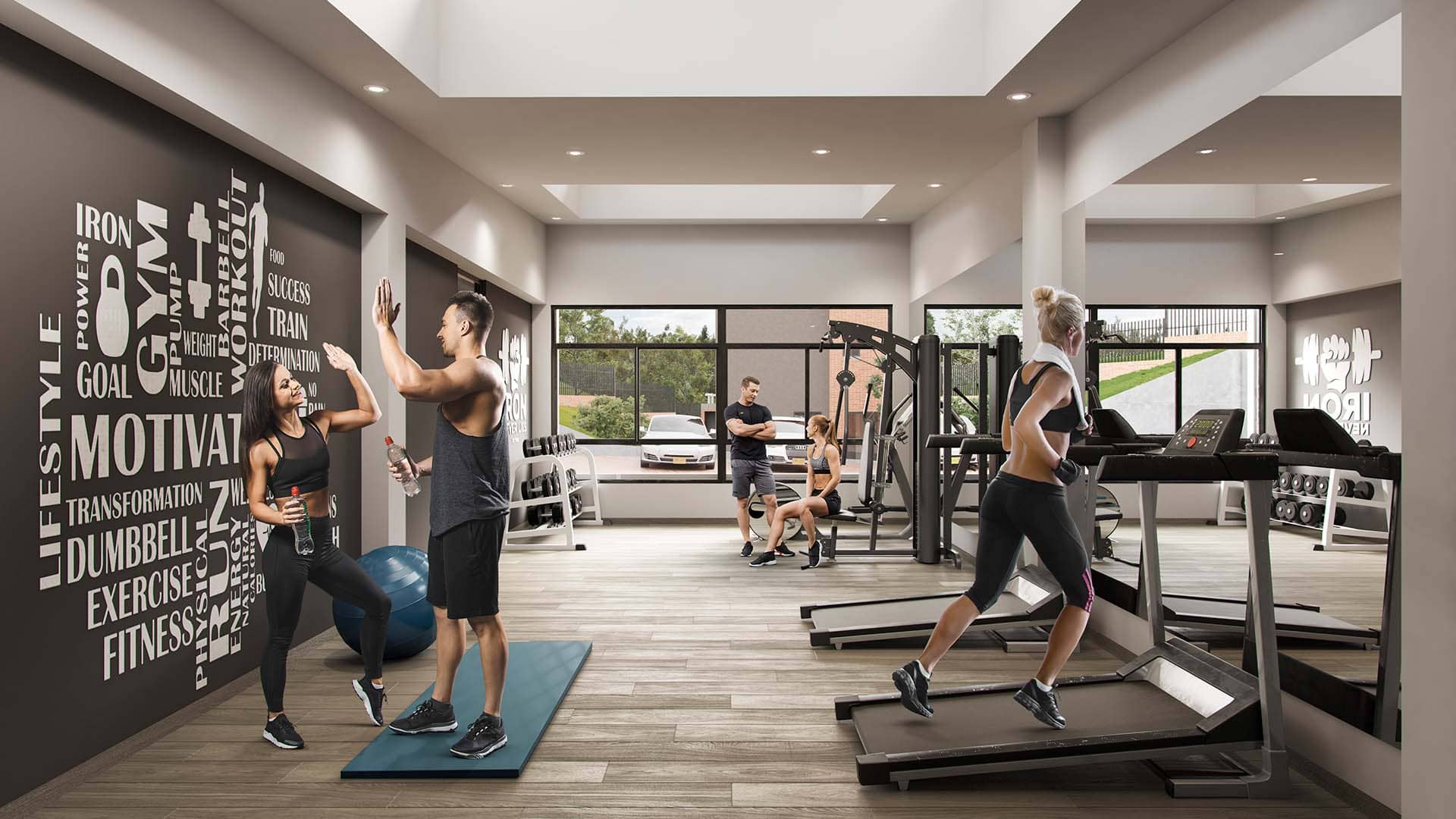 gimnasio proyecto reverdecer